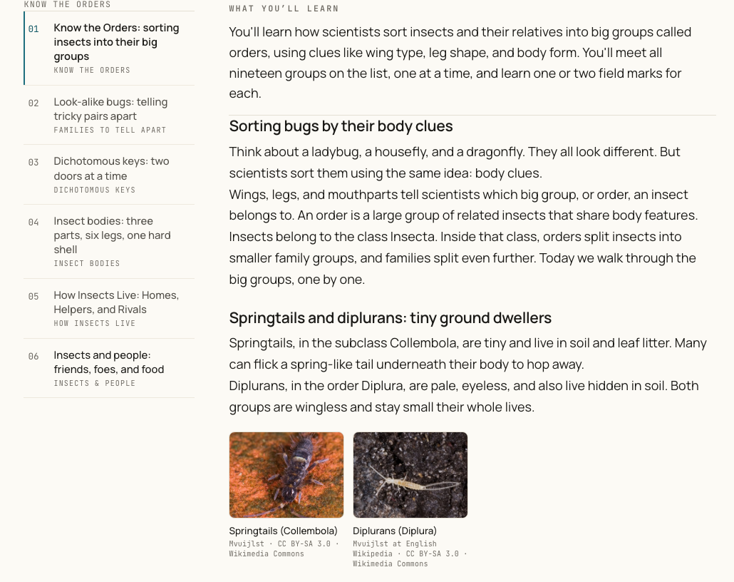 The Lessons tab for Insects & Entomology: the six-lesson index on the left, and on the right the first lesson’s sections with two licensed photographs, each captioned with its name, photographer and licence.